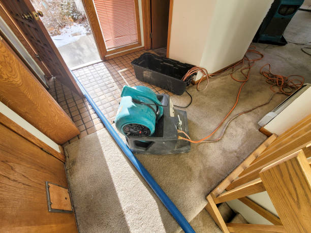 Best Commercial water damage restoration  in Normandy, MO