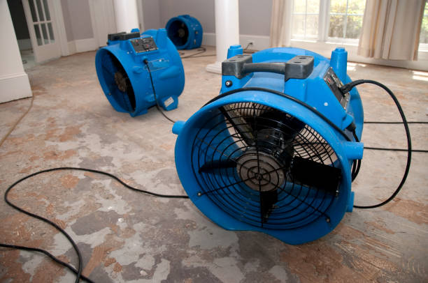Best Water damage restoration mold remediation  in Normandy, MO