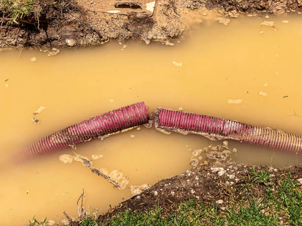 Best 24-hour water damage restoration  in Normandy, MO