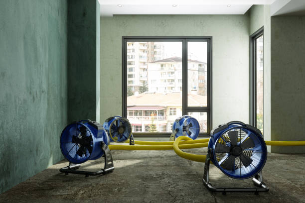 Best Commercial water damage restoration  in Normandy, MO